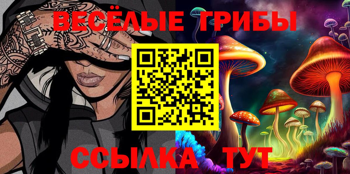 Ногинск  Галлюциногенные грибы прущие грибы  Вход с VPN 