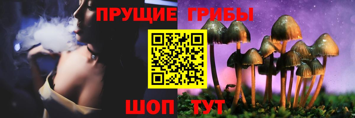 Галлюциногенные грибы Cubensis Ногинск
